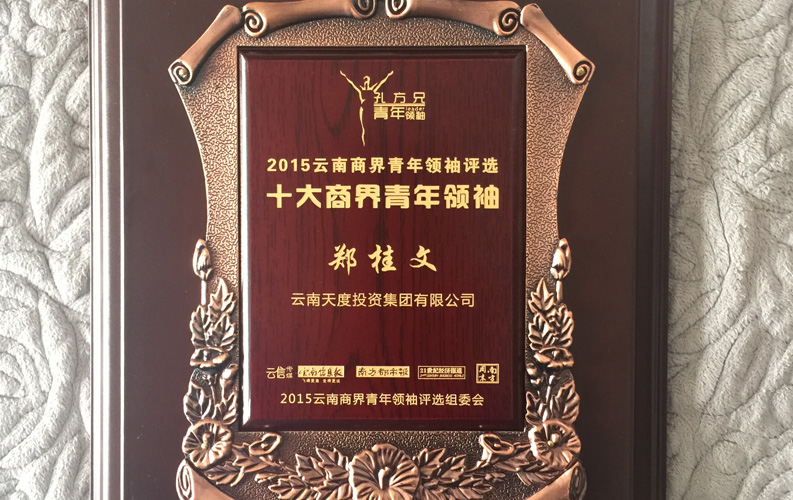 在&ldquo;互聯(lián)網(wǎng)大時代&rdquo;的背景下，天度作為本土很大和很有名的互聯(lián)網(wǎng)服務(wù)企業(yè)，為近萬家傳統(tǒng)企業(yè)轉(zhuǎn)型互聯(lián)網(wǎng)+提供了服務(wù)和幫助，獲此獎項后，我們將再接再厲，創(chuàng)造更高的社會價值